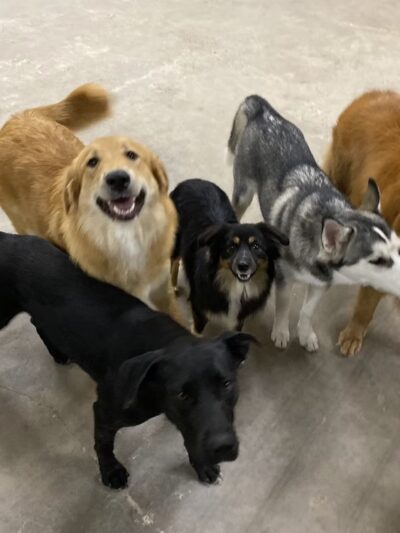 Miscellaneous - Weatherford, TX