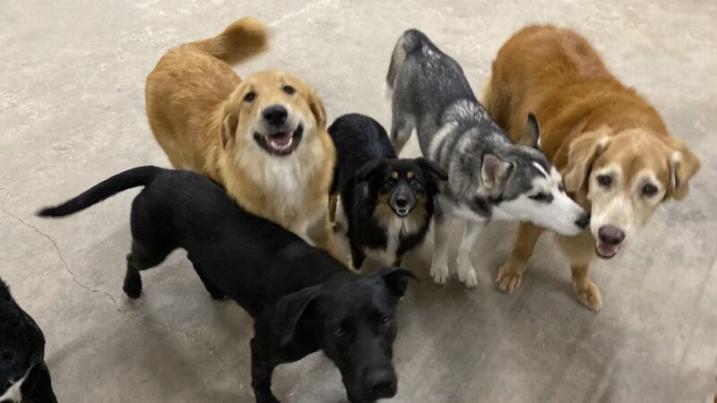 Miscellaneous - Weatherford, TX