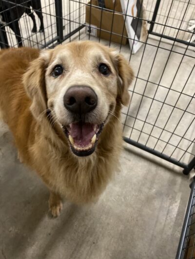 Miscellaneous - Weatherford, TX