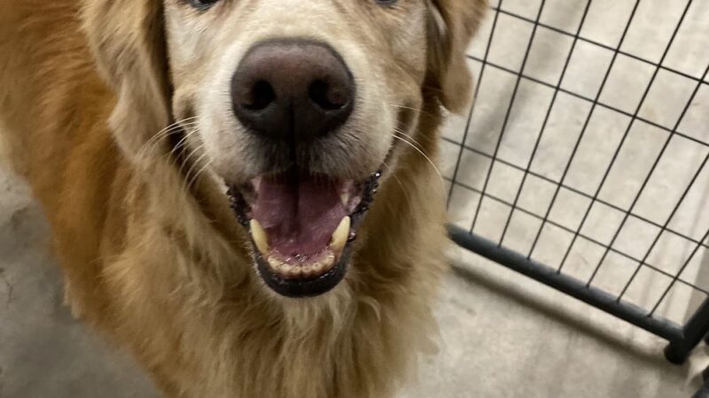 Miscellaneous - Weatherford, TX