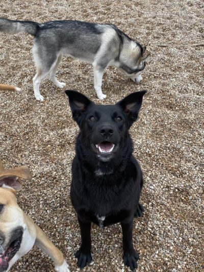 Miscellaneous - Weatherford, TX