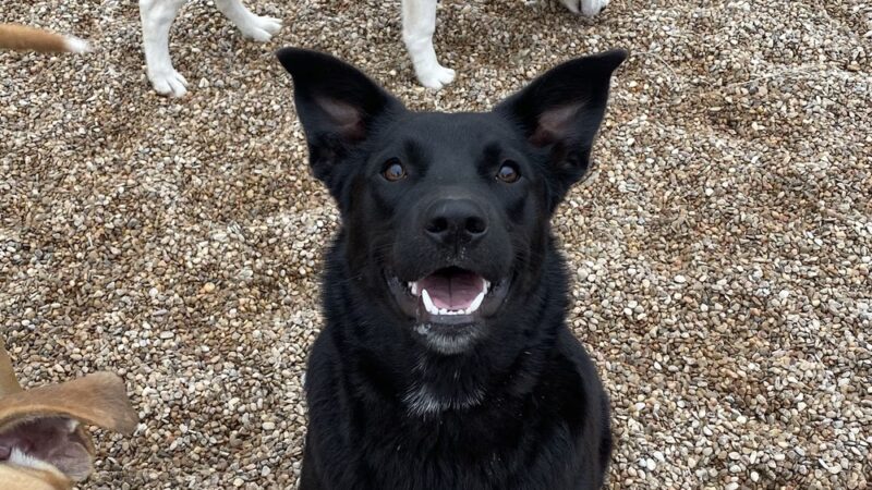 Miscellaneous - Weatherford, TX