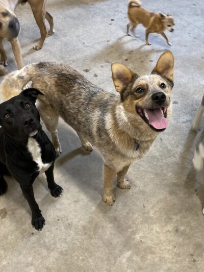 Miscellaneous - Weatherford, TX