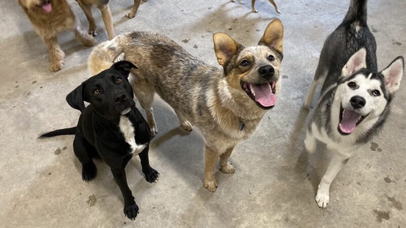 Miscellaneous - Weatherford, TX