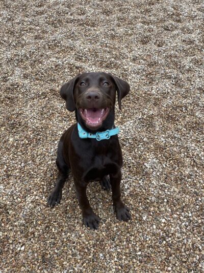 Miscellaneous - Weatherford, TX