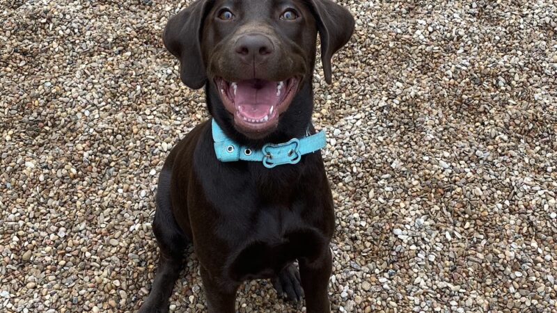 Miscellaneous - Weatherford, TX