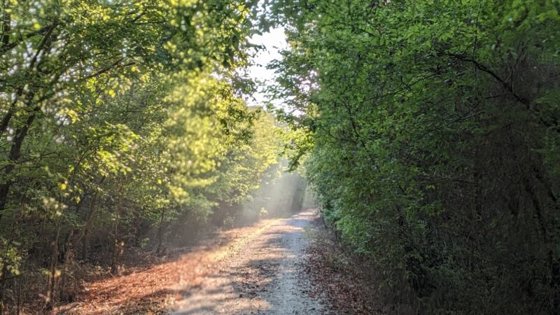 Ruby Jack Trailhead - Webb City, MO