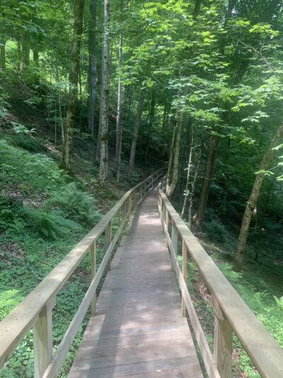 Lover’s Lane Boardwalk Trailhead - Webster Springs, WV