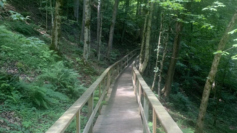 Lover’s Lane Boardwalk Trailhead - Webster Springs, WV