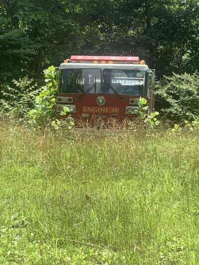 Lover’s Lane Boardwalk Trailhead - Webster Springs, WV