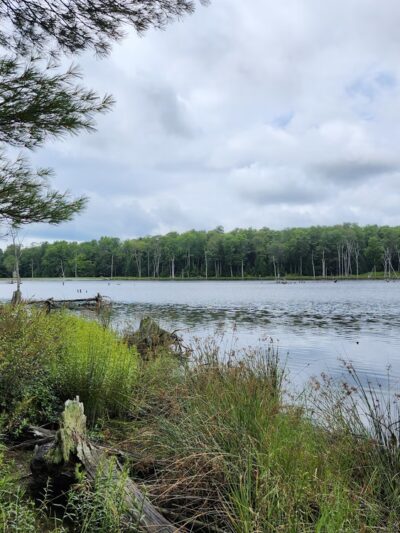 Beaver Run Pond Wildlife Viewing Area Parking - Weedville, PA