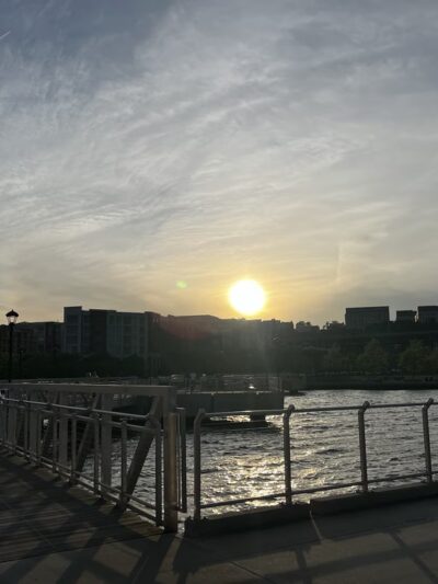 Kerri's K9s - Weehawken Township, NJ