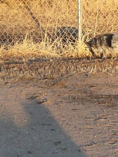 City Playground - Weeping Water, NE