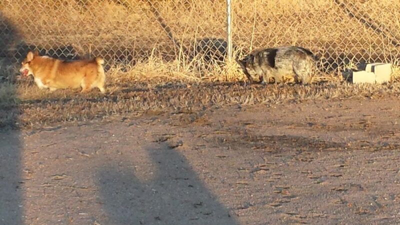 City Playground - Weeping Water, NE
