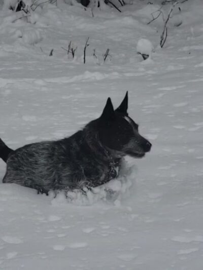 City Playground - Weeping Water, NE
