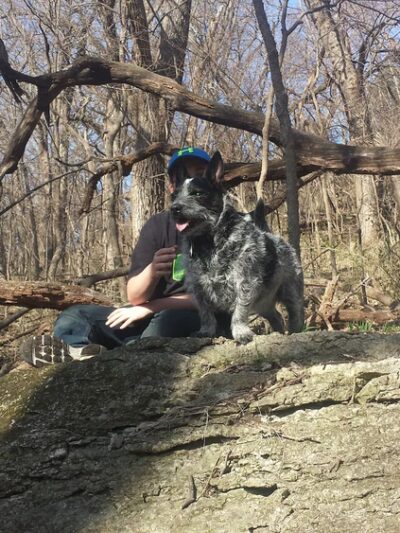 City Playground - Weeping Water, NE