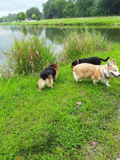 Day Memorial Park - Weeping Water, NE