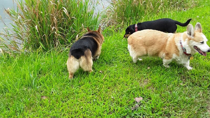 Day Memorial Park - Weeping Water, NE