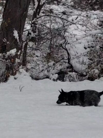 Day Memorial Park - Weeping Water, NE