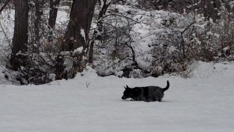 Day Memorial Park - Weeping Water, NE