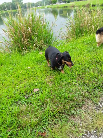 Day Memorial Park - Weeping Water, NE