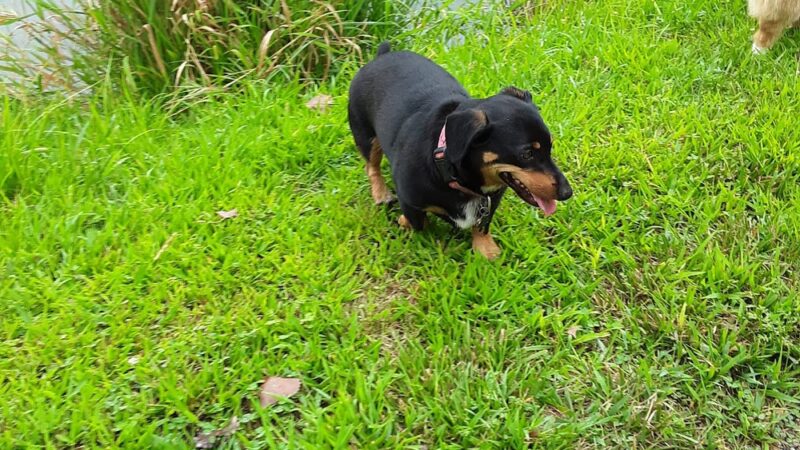 Day Memorial Park - Weeping Water, NE