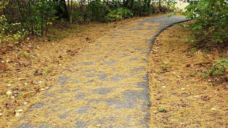 Babson Park - Wellesley, MA
