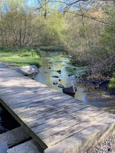 Boulder Brook Reservation - Wellesley, MA