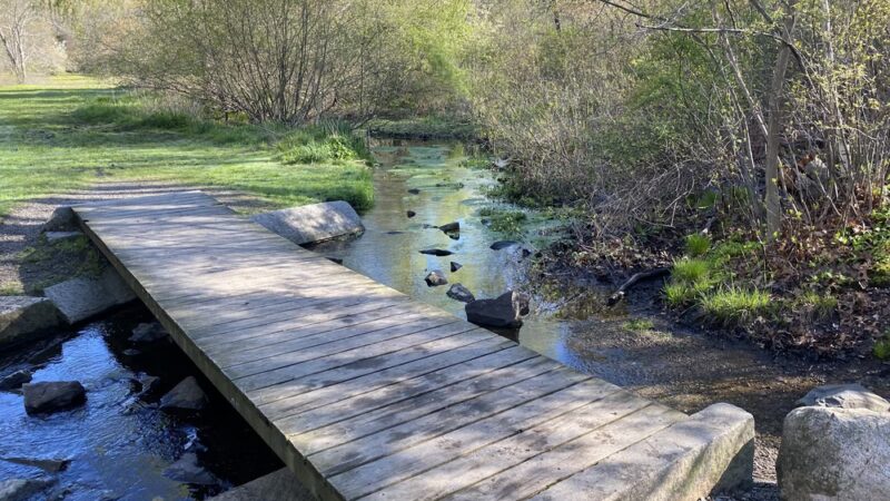 Boulder Brook Reservation - Wellesley, MA