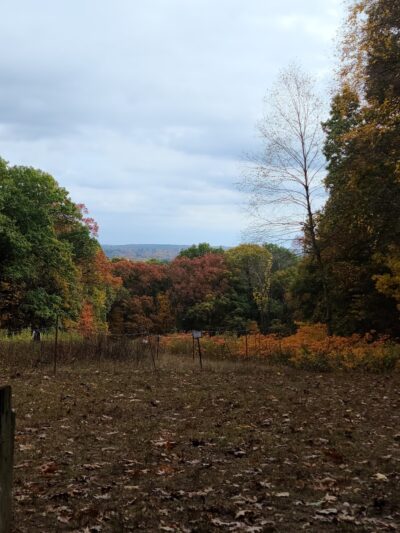 Centennial Reservation - Wellesley, MA