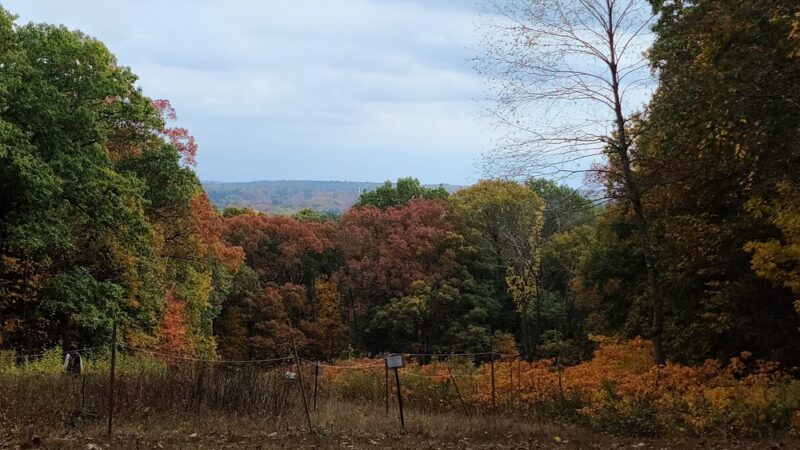 Centennial Reservation - Wellesley, MA