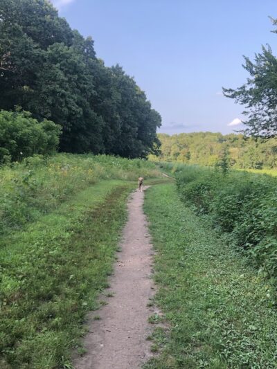 Centennial Reservation - Wellesley, MA