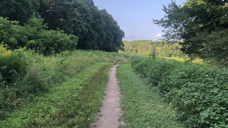 Centennial Reservation - Wellesley, MA