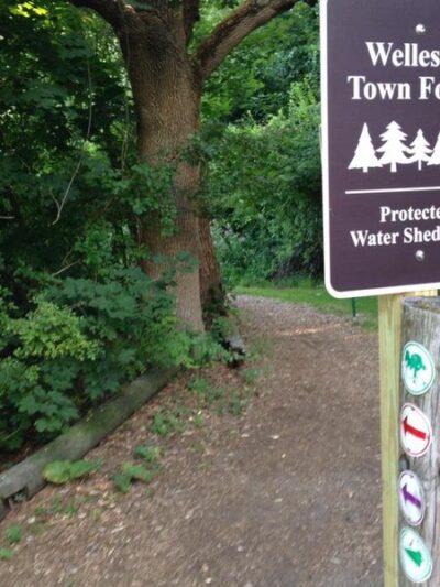 Centennial Reservation - Wellesley, MA