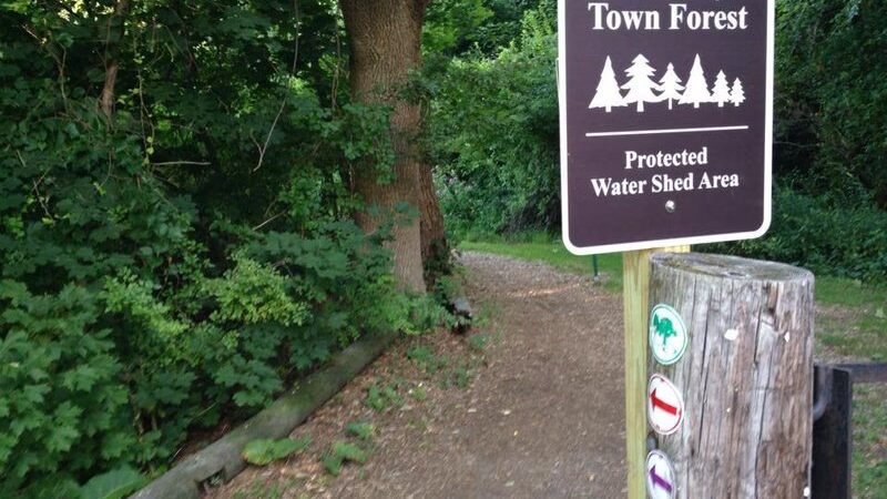 Centennial Reservation - Wellesley, MA