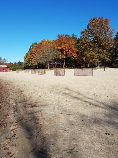 Crosstown Trail Wellesley, MA - Wellesley, MA