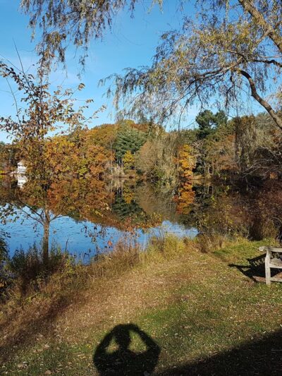 Crosstown Trail Wellesley, MA - Wellesley, MA