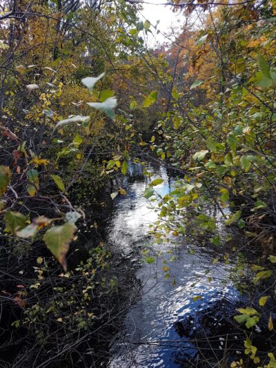 Crosstown Trail Wellesley, MA - Wellesley, MA