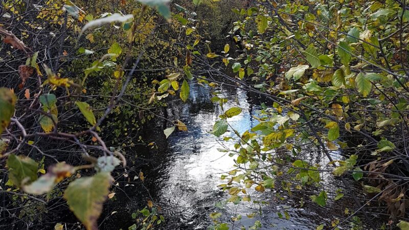 Crosstown Trail Wellesley, MA - Wellesley, MA