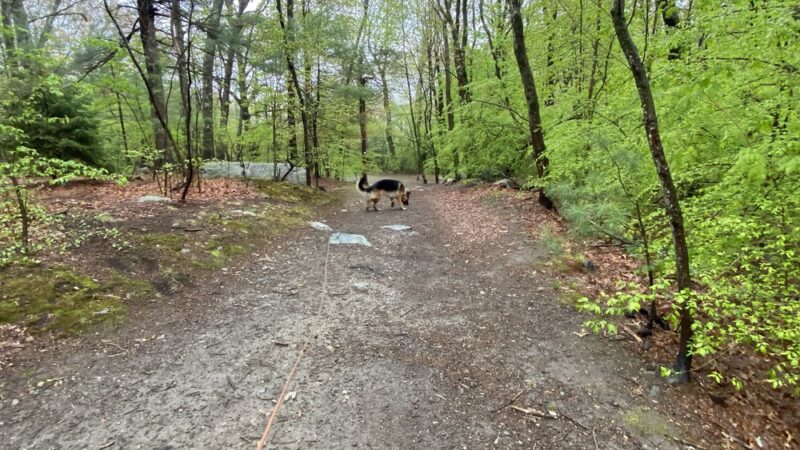 Kelly Memorial Park - Wellesley, MA