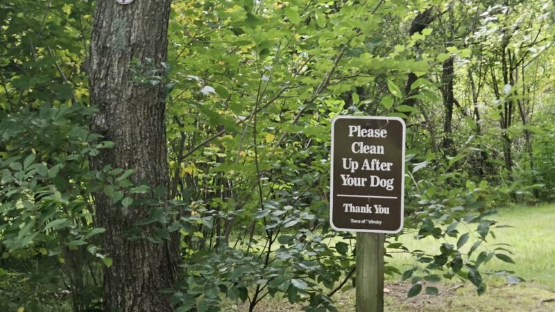 Kelly Memorial Park - Wellesley, MA