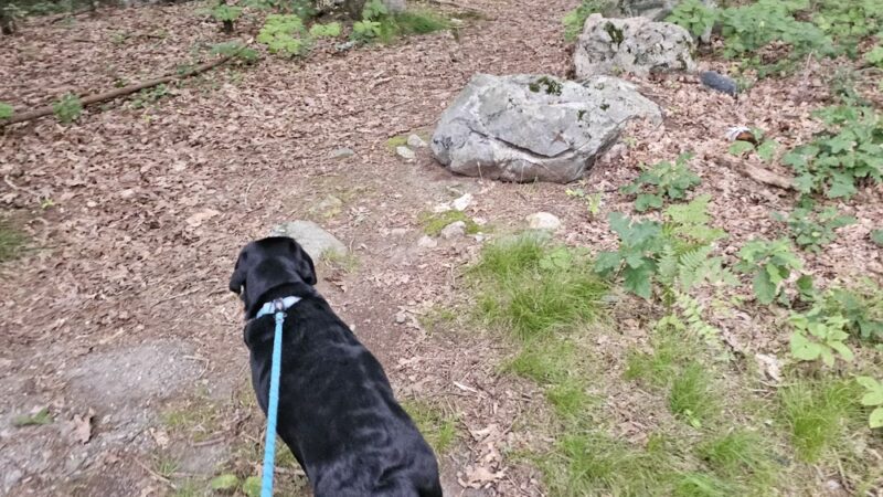 Kelly Memorial Park - Wellesley, MA