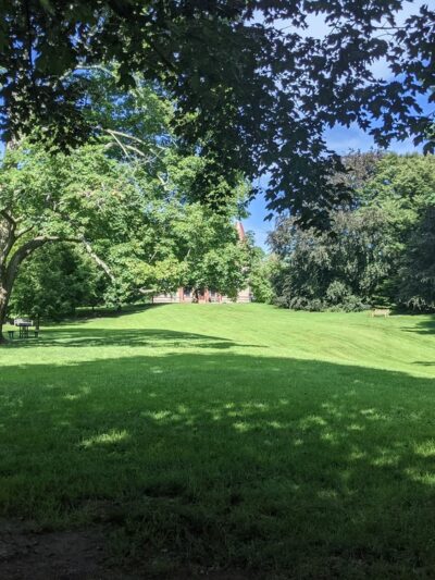 Morton Park - Wellesley, MA