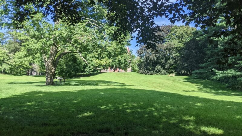 Morton Park - Wellesley, MA