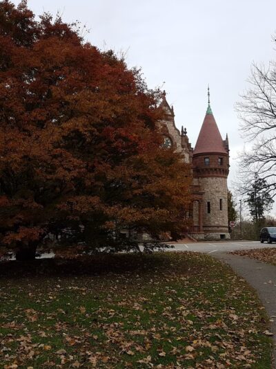 Morton Park - Wellesley, MA