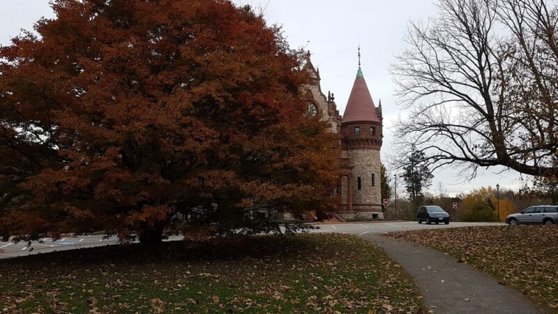 Morton Park - Wellesley, MA