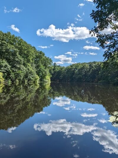 Ollie Turner Park - Wellesley, MA