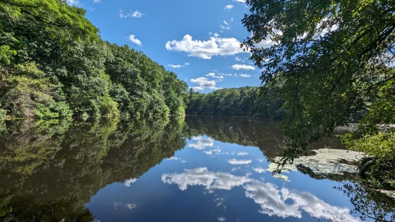 Ollie Turner Park - Wellesley, MA