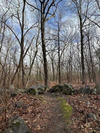 Ollie Turner Park - Wellesley, MA