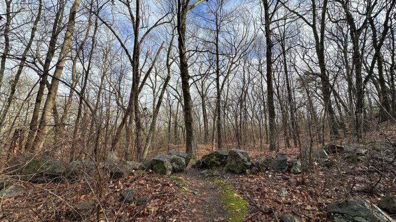 Ollie Turner Park - Wellesley, MA